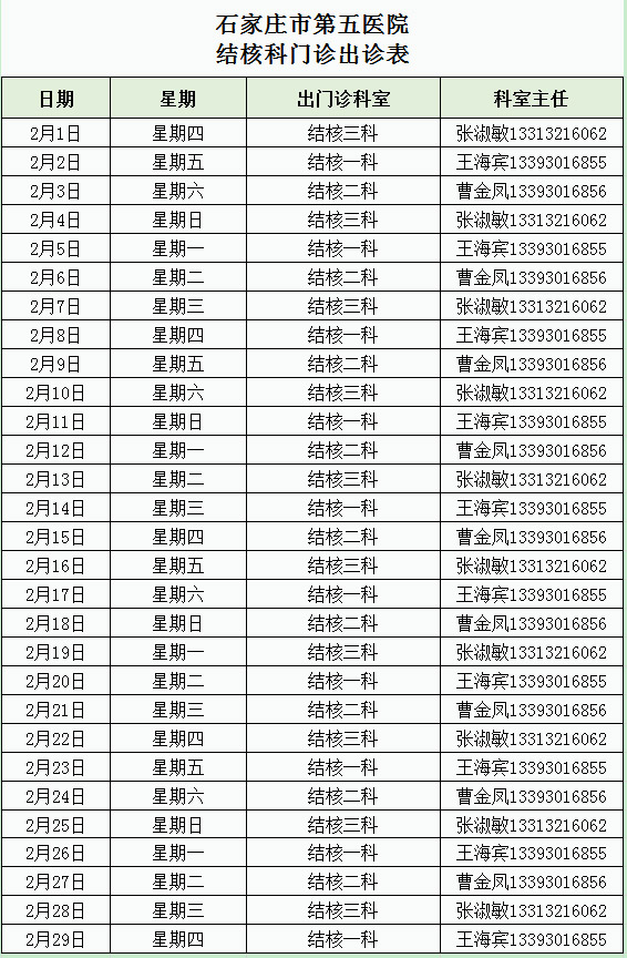 2024年2月份结核科门诊出诊表