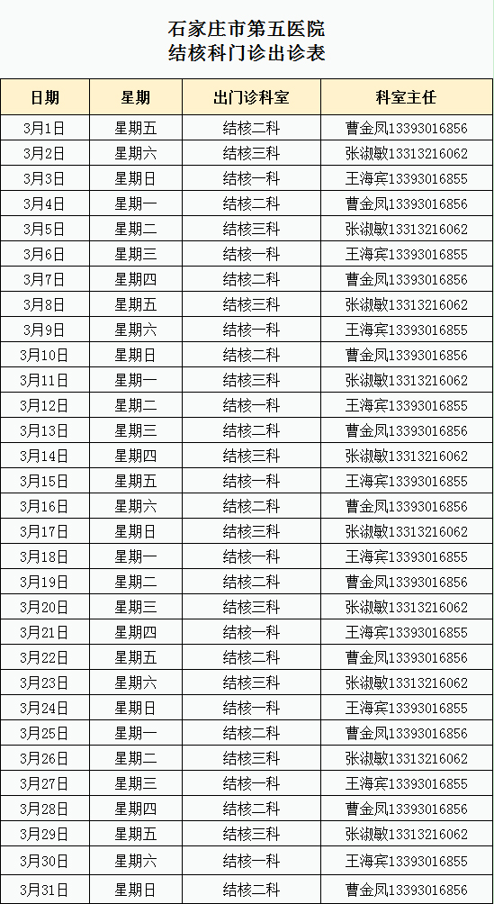 2024年3月份结核科门诊出诊表