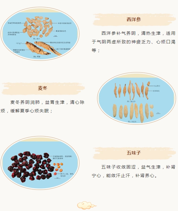 石家庄市第五医院中医专家提醒您：夏季养生少不了这几味中药，补气、祛湿又解暑！