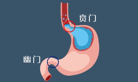 名医助力技术提升！石家庄市第五医院联合河北医科大学第四医院成功采用胸腹联合术根治贲门癌